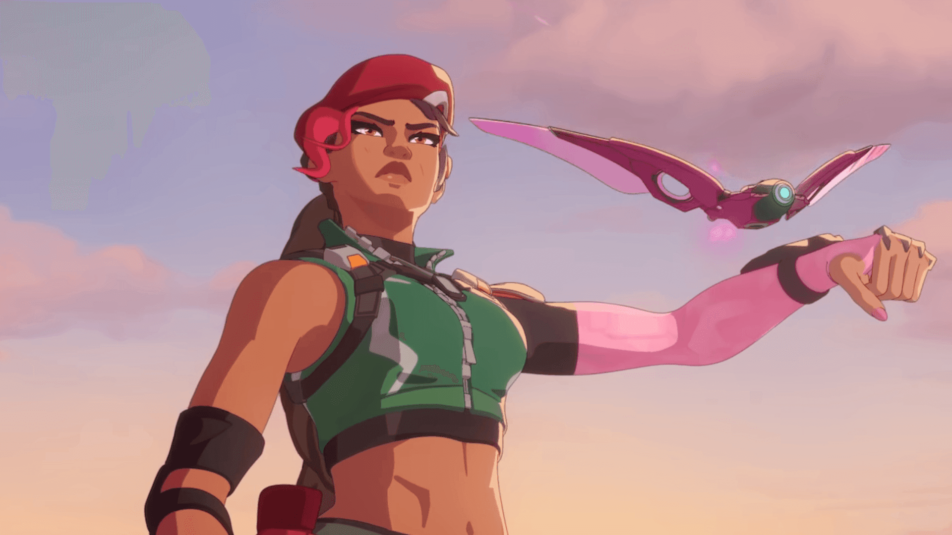 Overwatch Sierra Drone