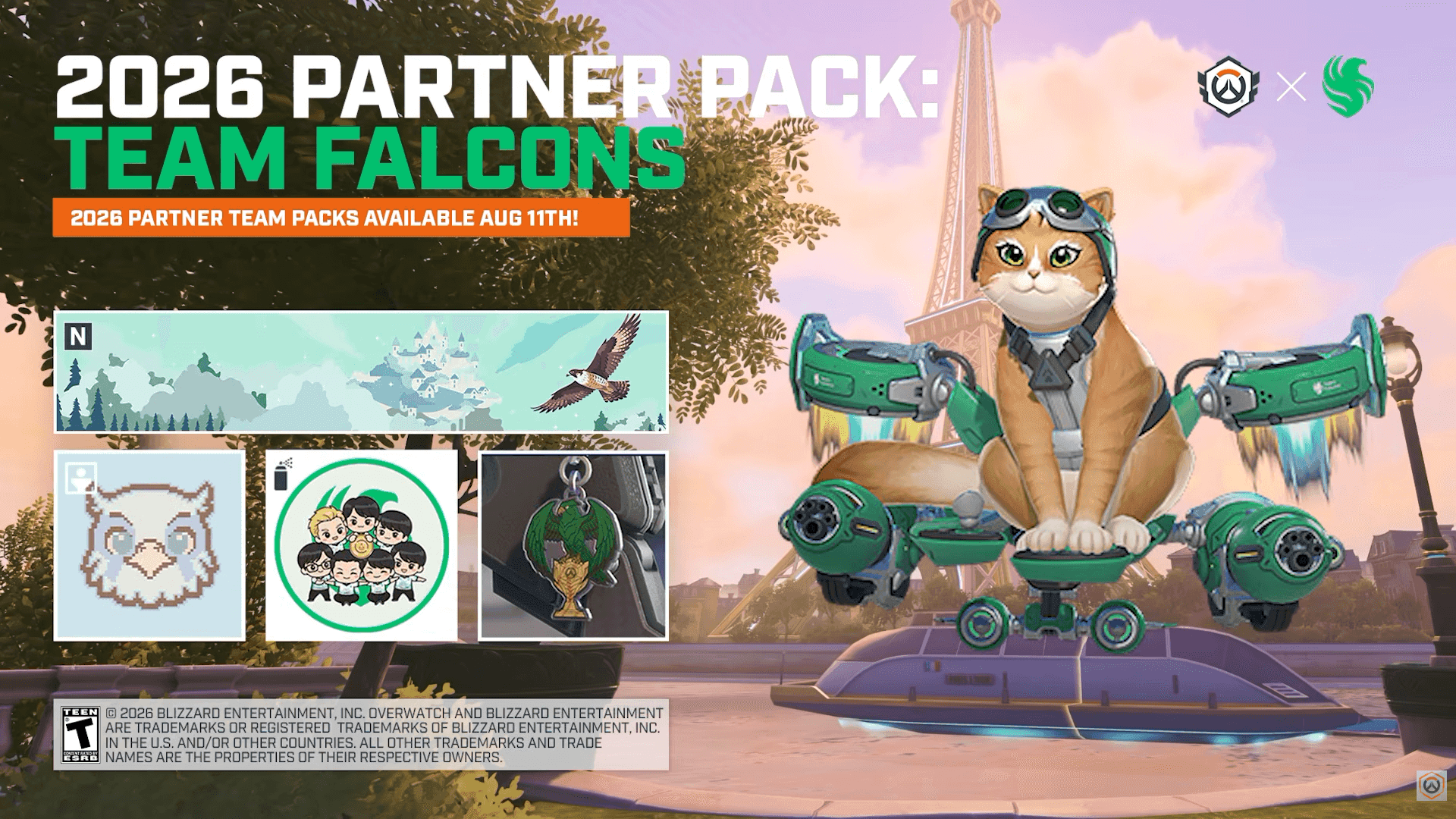 Team Falcons OWCS Team Skins
