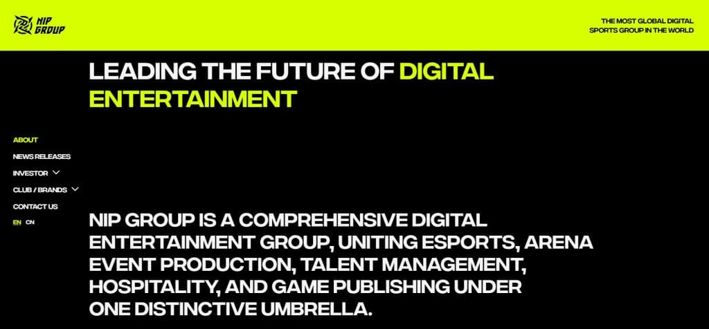 The NiP Group self-made description (credits: Ninjas in Pyjamas)