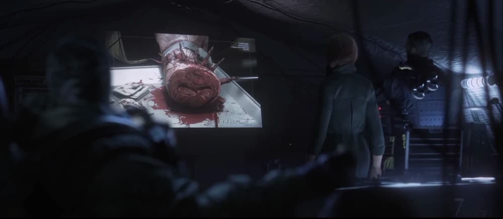 why-doc-is-a-cornerstone-of-rainbow-six-siege-defense