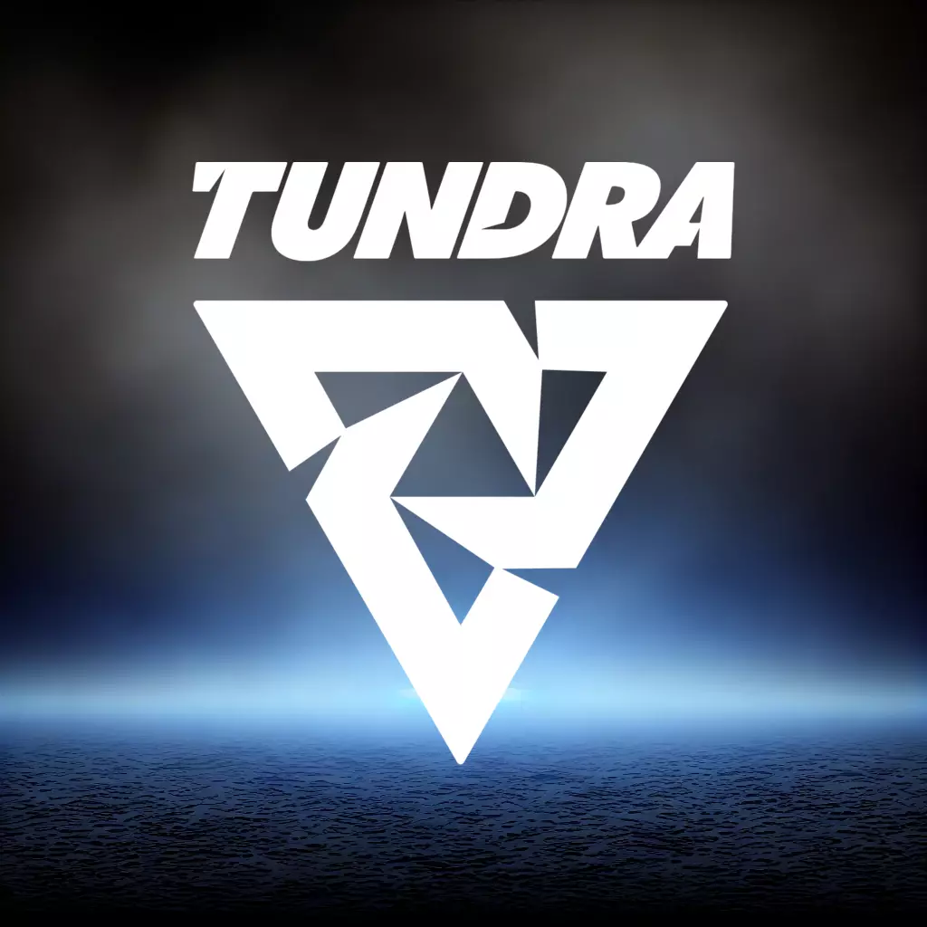 Tundra Esports Qualified for the International 2024