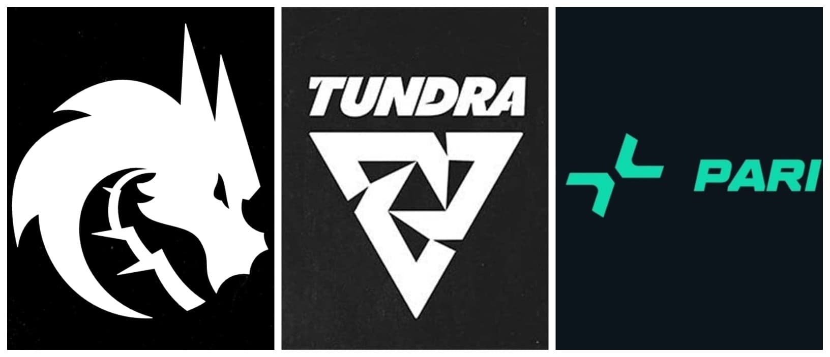 Three big favorites go into the Esports World Cup 2025.