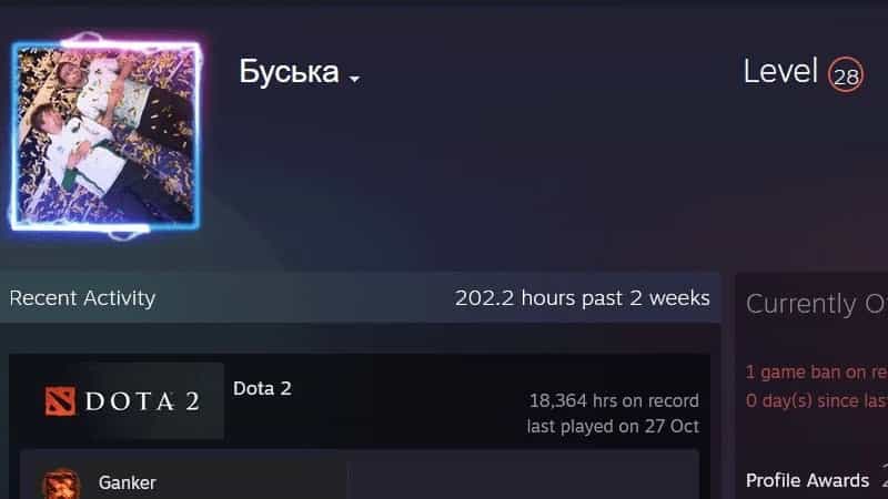 Malr1ne Banned From Dota 2: A Mostly Harmless Mistake